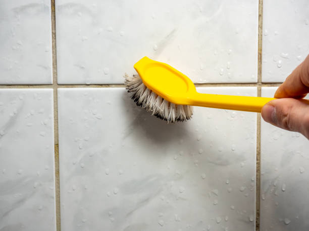 Best Water Damage Restoration  in New York Mills, MN