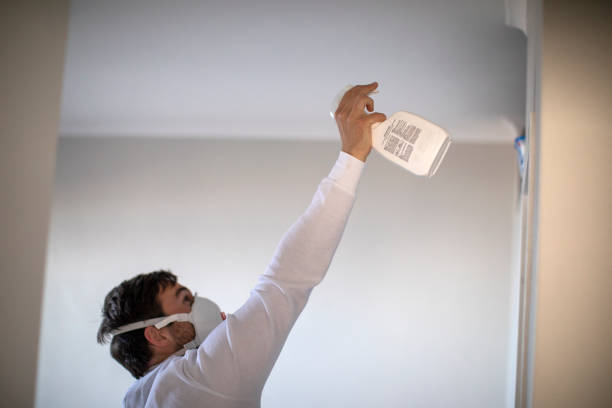 Best Local Mold Removal Service  in New York Mills, MN