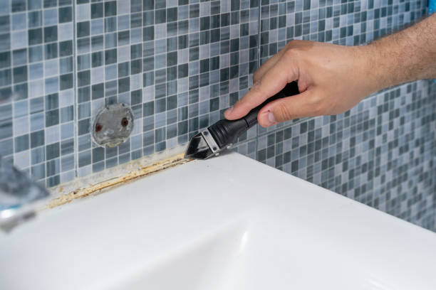 Best Home Mold Removal  in New York Mills, MN